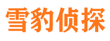 巴彦市侦探公司